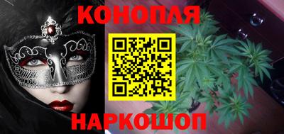 Альфа ПВП Новозыбков