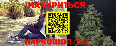 СК Новокубанск