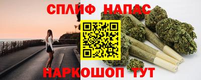 СК Новокубанск