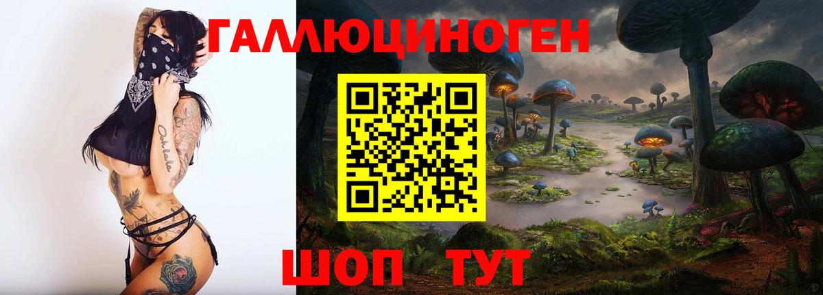 Галлюциногенные грибы прущие грибы Тимашёвск
